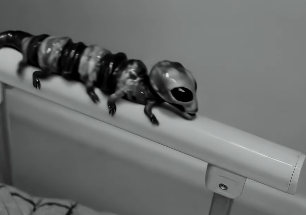 Small talk about the Reptilian